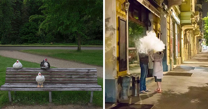 30 Funny Accidental Images That Were Taken At The Right Time And Place By This Street Photographer