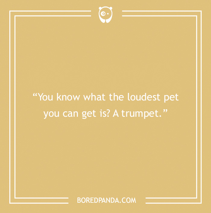 Funny dad joke about a loud pet, featuring a trumpet pun on a yellow background.