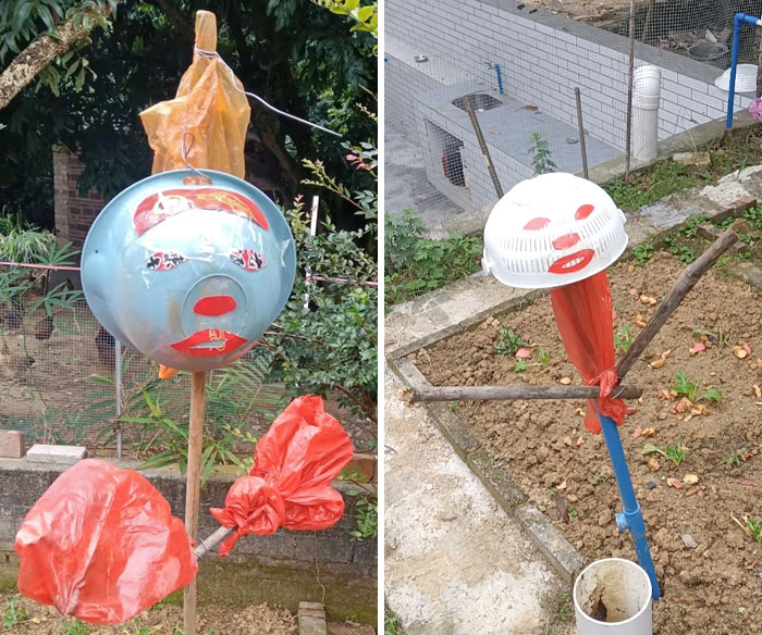 My Dad Said His Chickens Were Eating His Crops, So He Made These "Scarecrows"