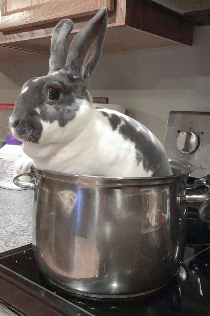 My Parents Think They Are Funny