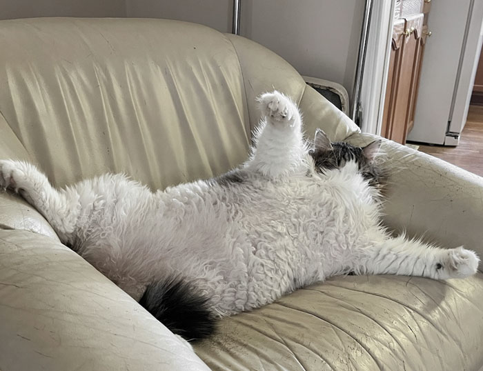 My Dad Just Sent Me This With The Title "He's Either Looking For A Hug Or Giving Up"