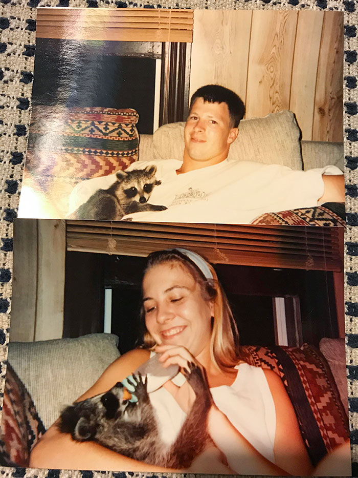 Parents smiling with a raccoon indoors, showcasing their sense of humor.