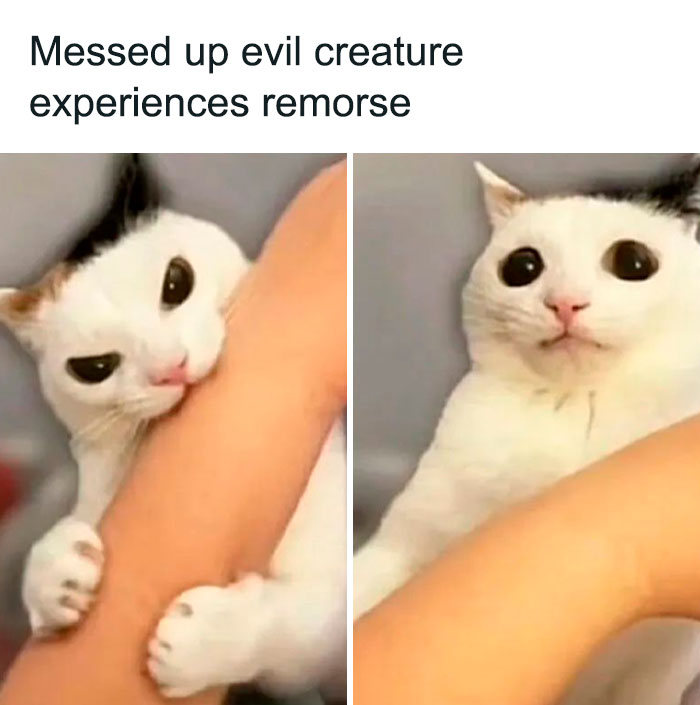 Funny-Iconic-Internet-Posts