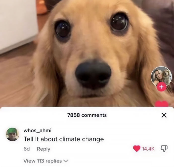 Funny-Iconic-Internet-Posts