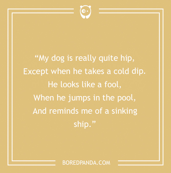 Funny limerick about a hip dog jumping into a pool, creating a humorous scene.