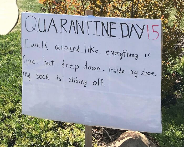 My Neighbor's Front Lawn Dad Joke