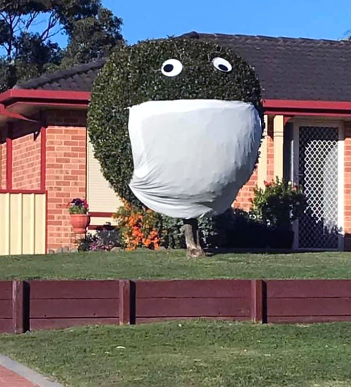 During The Recent Lockdown, One Of Our Neighbors Has Kept His Sense Of Humor