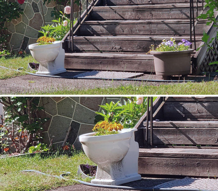 One Of My Neighbor's Planters Broke Recently In A Storm, This Is The Replacement I Guess