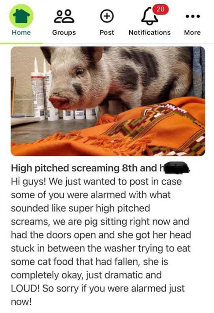 My Neighborhood’s Nextdoor Is Something Else