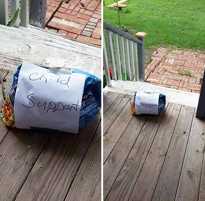 I Adopted The Neighborhood Stray Cat. My Neighbor's Cat Got Her Pregnant. Woke Up To This