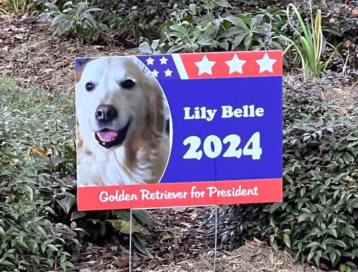 When Your Neighbors Have The Right Idea