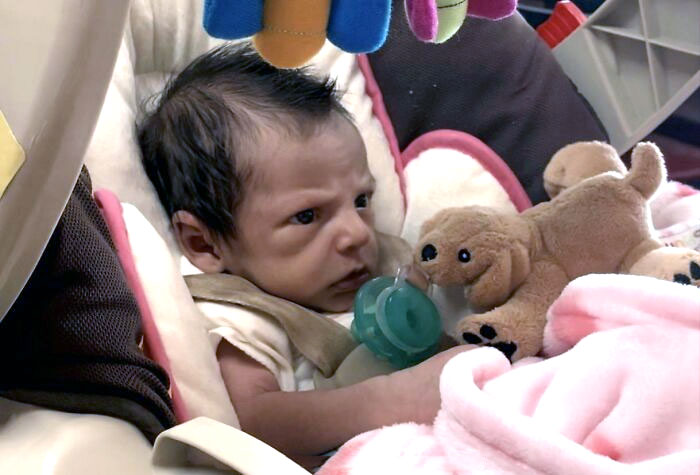 Little Girl Swears Vengeance On All That Have Wronged Her. Complete With Godfather-Style Pet