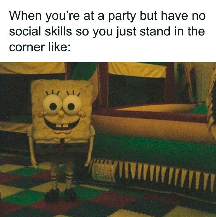 Funny-Relatable-Introverts-Are-Awesome-Memes