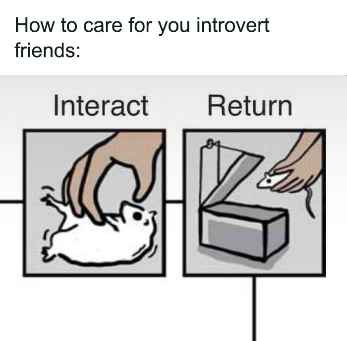 Funny-Relatable-Introverts-Are-Awesome-Memes