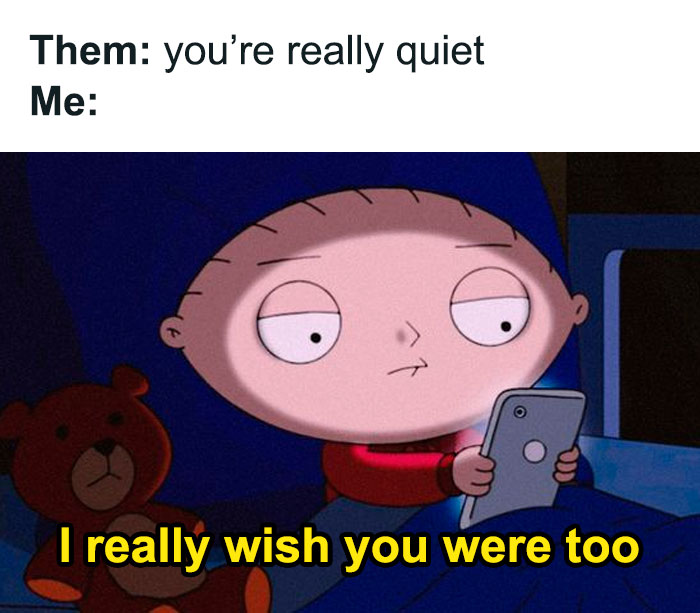 Funny-Relatable-Introverts-Are-Awesome-Memes