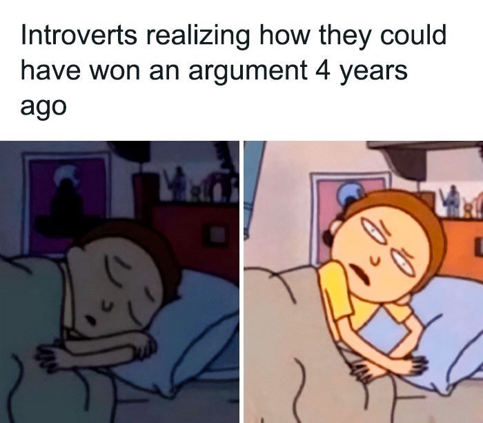Funny-Relatable-Introverts-Are-Awesome-Memes