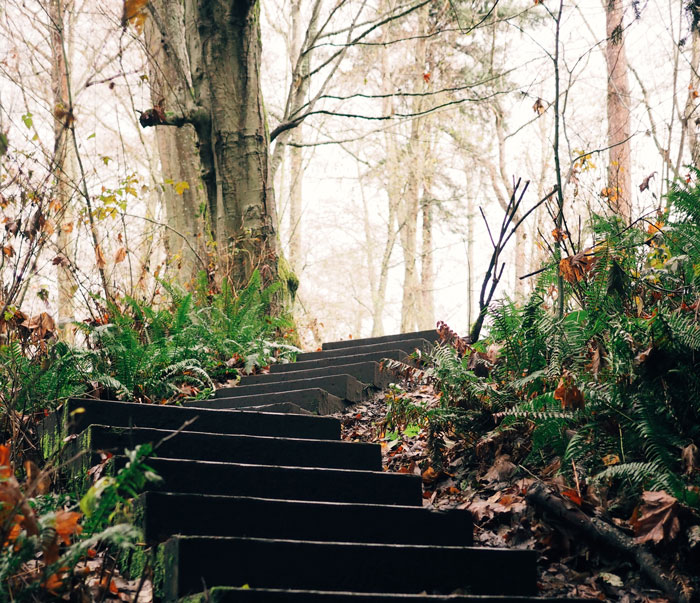 Someone Asks: "What Is Generally Safe But Can Be Fatal If Not Used Correctly?", Receives 25 Replies