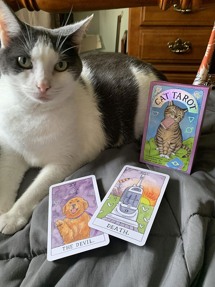  Cat Tarot : 78 Cards & Guidebook: Is A Purr-Fect Gift That Blends Tradition, A Touch Of Humor, And Feline Mystique—ideal For Both Seasoned And Novice Tarot Lovers, Making Their Present A Decked-Out Delight!