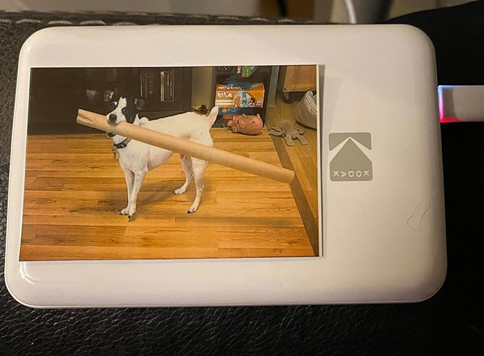  Kodak Wireless Mobile Photo Color Printer : An Incredible Gadget For Your Selfie Lover Friends Who Love Instant Physical Photos, A Gift That Makes Their Special Moments Permanent.