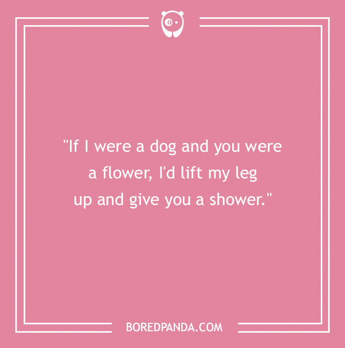Pink background with a humorous roast quote about dogs and flowers.