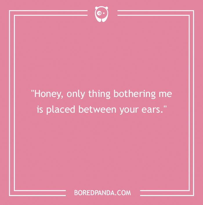 Quote on a pink background with a witty roast about a mind's contents.