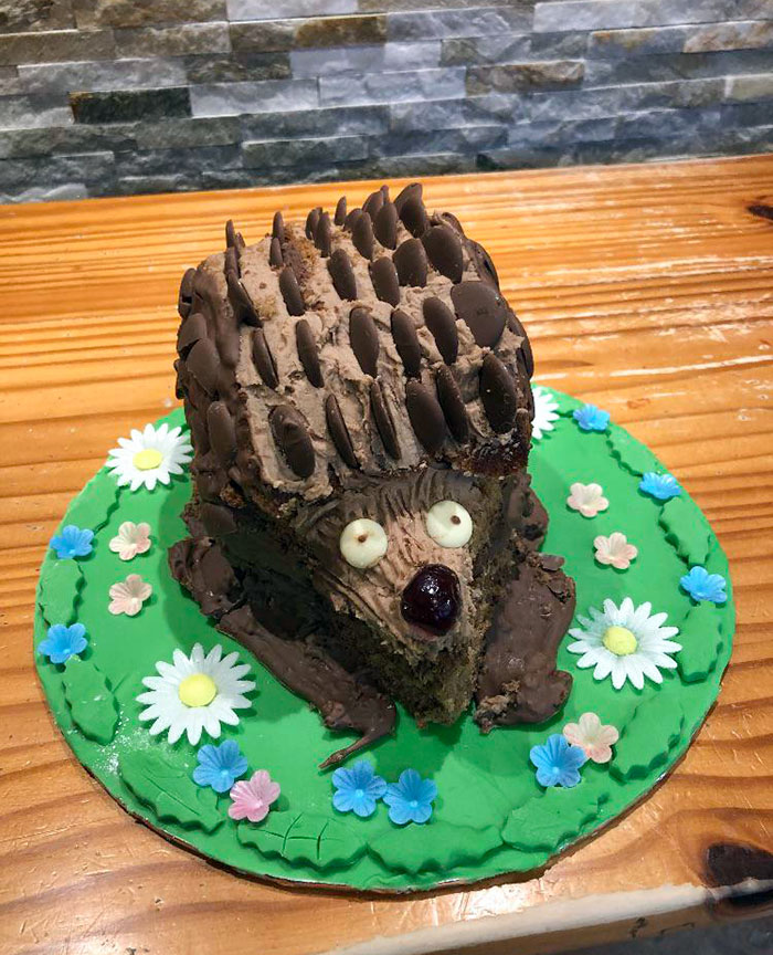 My Mom Said I Couldn't Come In The Kitchen All Day. Apparently, She Was Making Me A Surprise Birthday Cake. She Knows I Like Hedgehogs