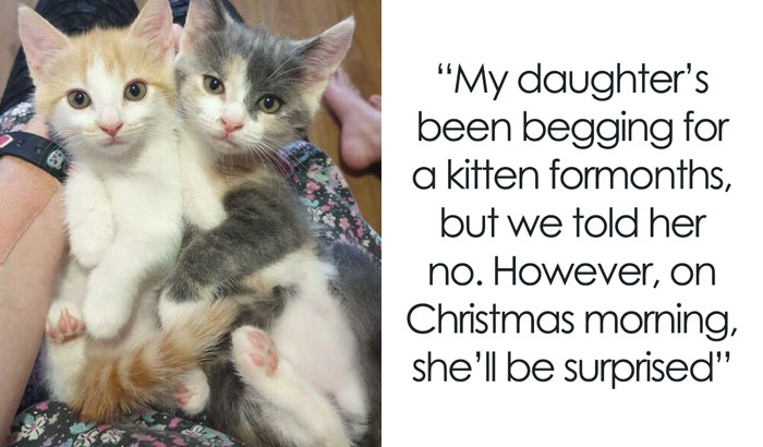 50 Parents Who Deserve A Medal For How Wholesome And Supportive They Are (New Pics)