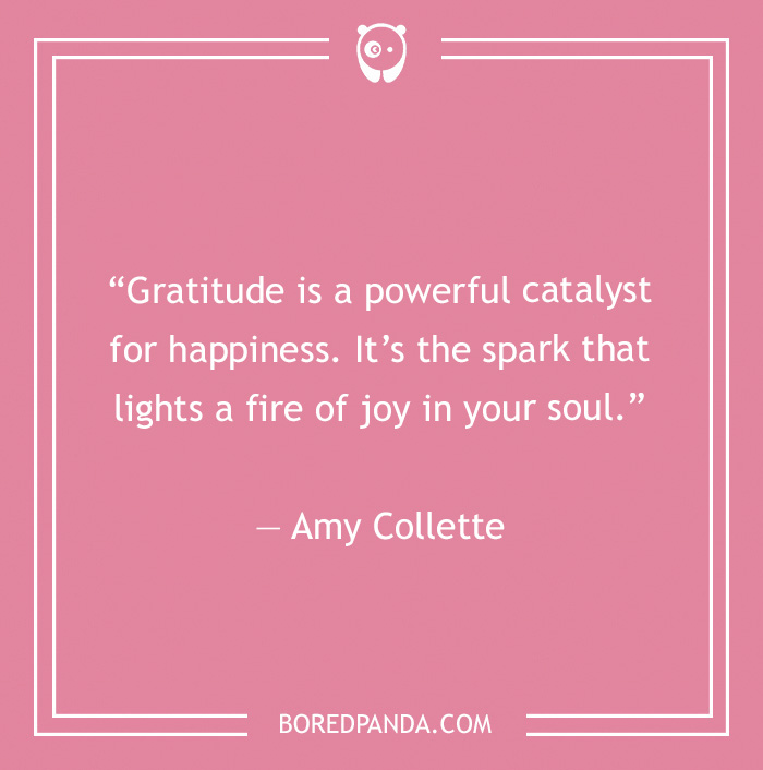 Amy Collette quote on gratitude and happiness  - 7