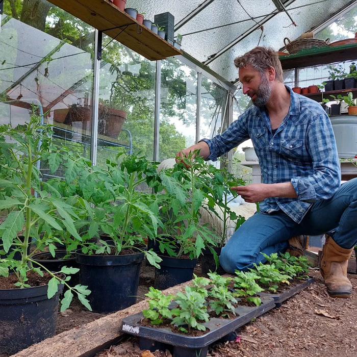 Man planting tomatoes Man planting tomatoes