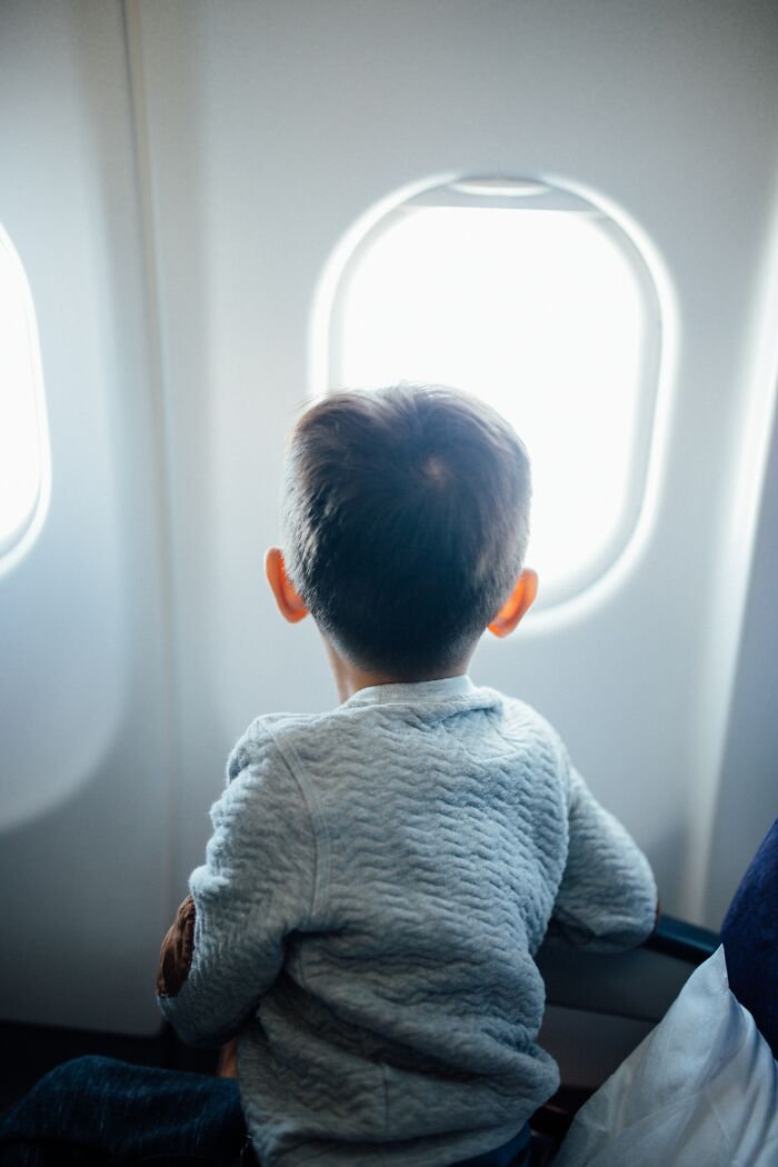 &ldquo;They Behave Better&rdquo; New Survey Shows That People Prefer Pets Over Children On Planes