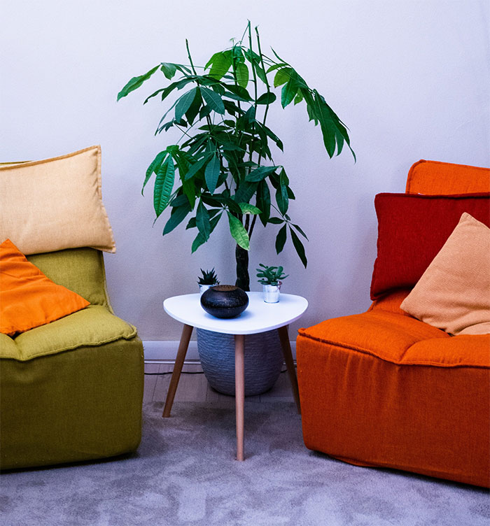 Lilac room with green and orange chairs surrounding a white table with a green plant, illustrating happy color home decor.