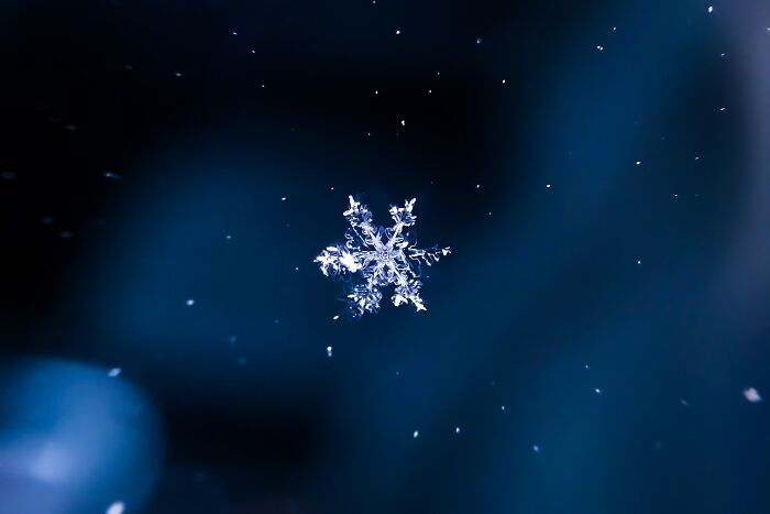 Close-up of a small snowflake against a dark background to test your wits.