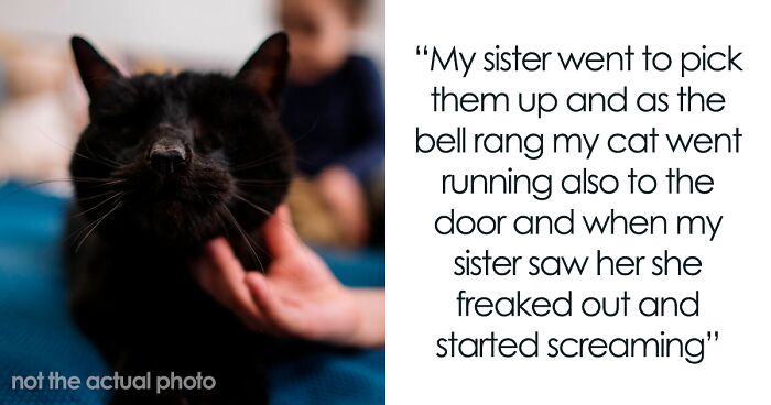 Sister Freaks Out Over Brother’s ‘Demonic’ Cat, Bans Him From Seeing Her Kids Unless The Cat Goes