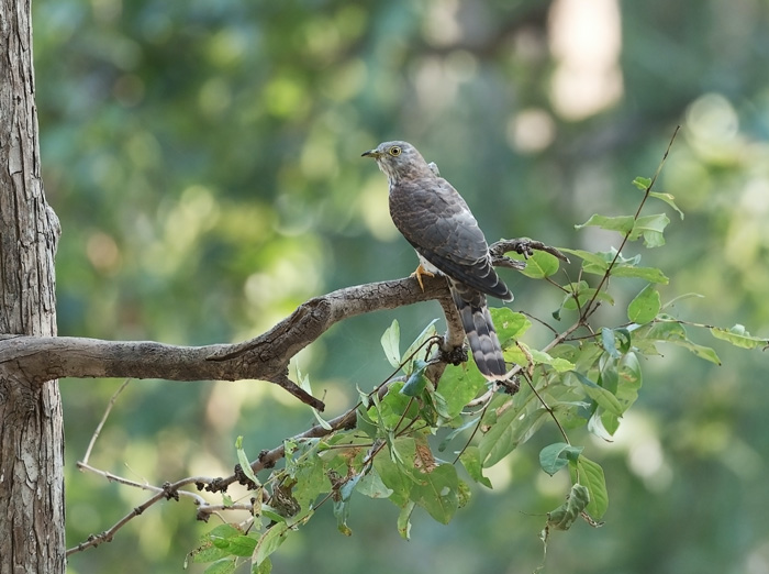 110 Holiday Trivia Questions For A Fun Winter Evening