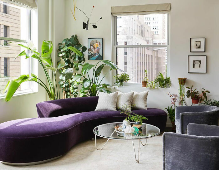 White room featuring a purple serpentine sofa and plants showcasing expert-approved interior design ideas for home.