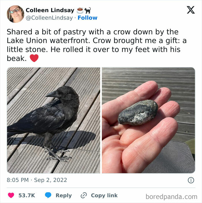 Creepy-Memes-Creepyholics