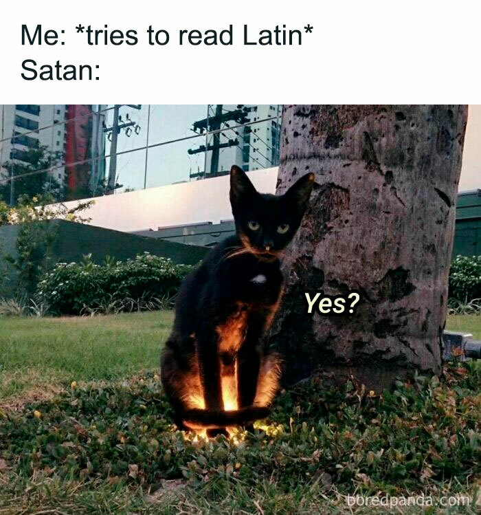 Creepy-Memes-Creepyholics