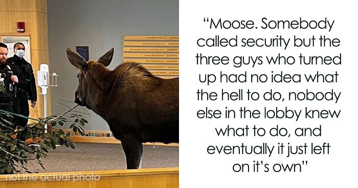 30 People Share The Wildest Things They’ve Witnessed While Waiting To Be Treated By The ER