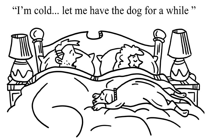 My 20 One-Panel Comics That Will Hopefully Brighten Up Your Day