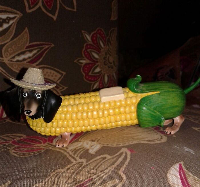 Weird-Second-Hand-Finds-Shifty-Thrifting