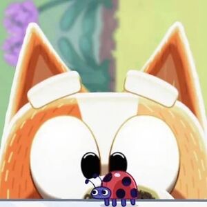 leighwoodward11 avatar