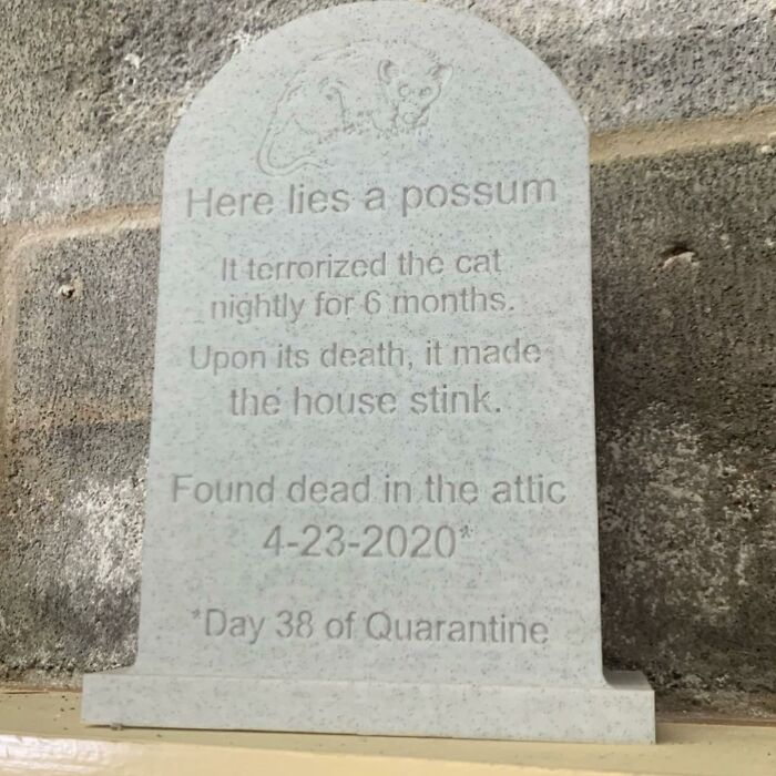 Funny possum memorial plaque found among weird items donated to thrift stores, featured on a popular Instagram page.