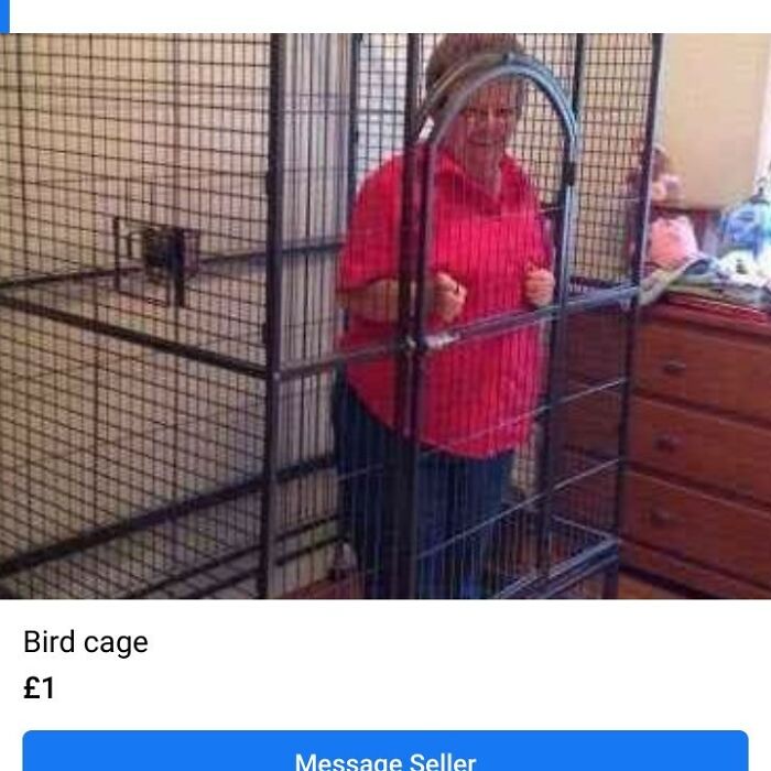 Person standing inside a large bird cage donated to thrift stores, showcased on an Instagram page for weird items.