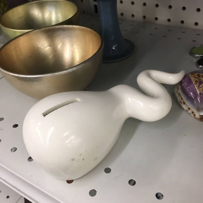 Weird-Second-Hand-Finds-Shifty-Thrifting