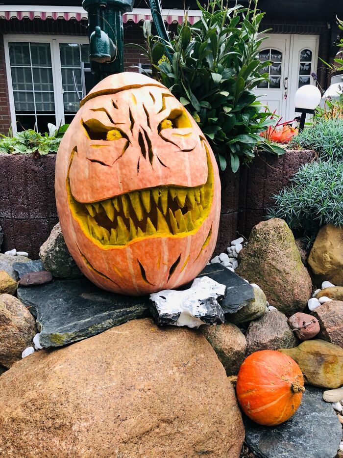 Biggest Project So Far