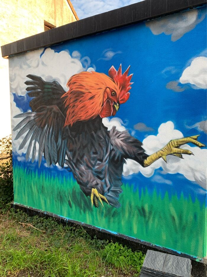 Angry Chicken, Forgot The Village, Belgium