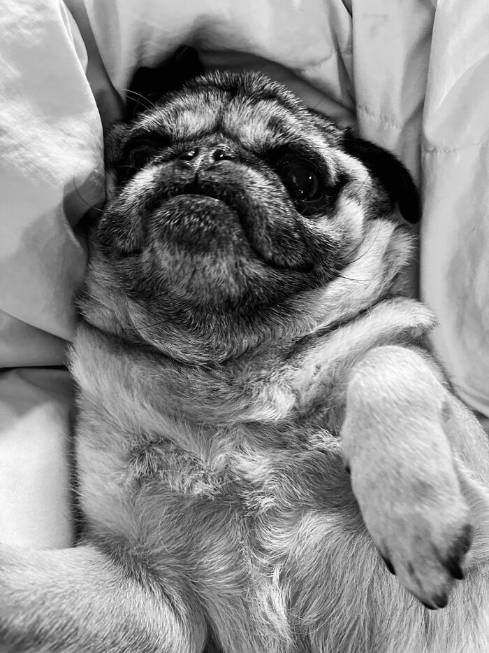 Does This Goblin Count?