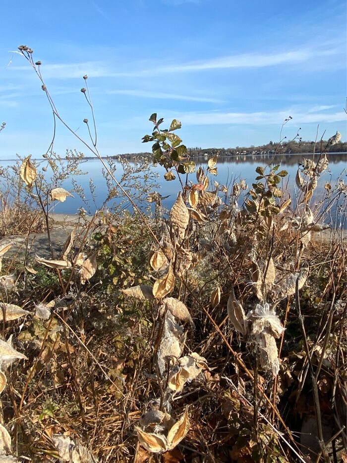 Port Perry Ontario. Lakefront
