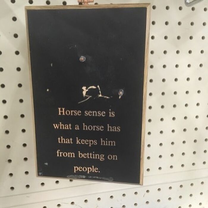 Black plaque with humorous saying about horse sense, displayed on a pegboard among weird thrift store donated items.