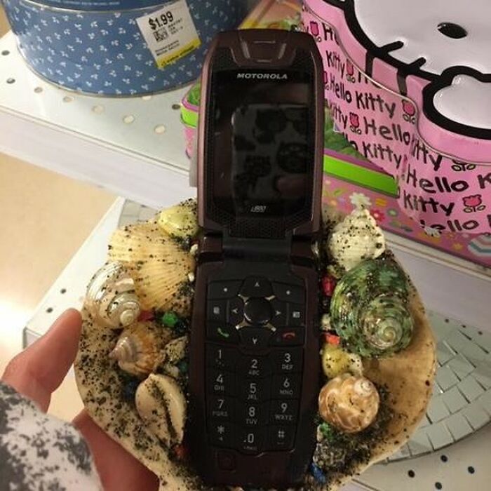 Weird-Second-Hand-Finds-Shifty-Thrifting